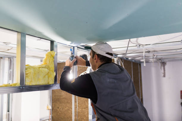 Best Local Insulation Services  in Novato, CA