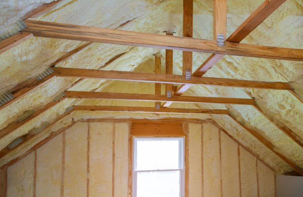 Best Attic Insulation Installation  in Novato, CA