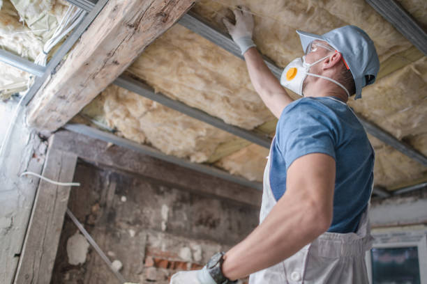 Best Insulation Replacement Services  in Novato, CA