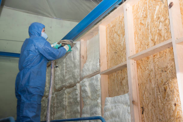 Best Commercial Insulation Contractor  in Novato, CA